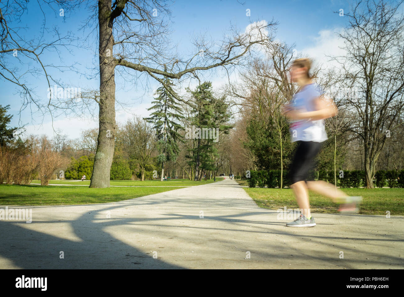 Attività sana donna solo per fare jogging nel parco sotto il sole Foto Stock