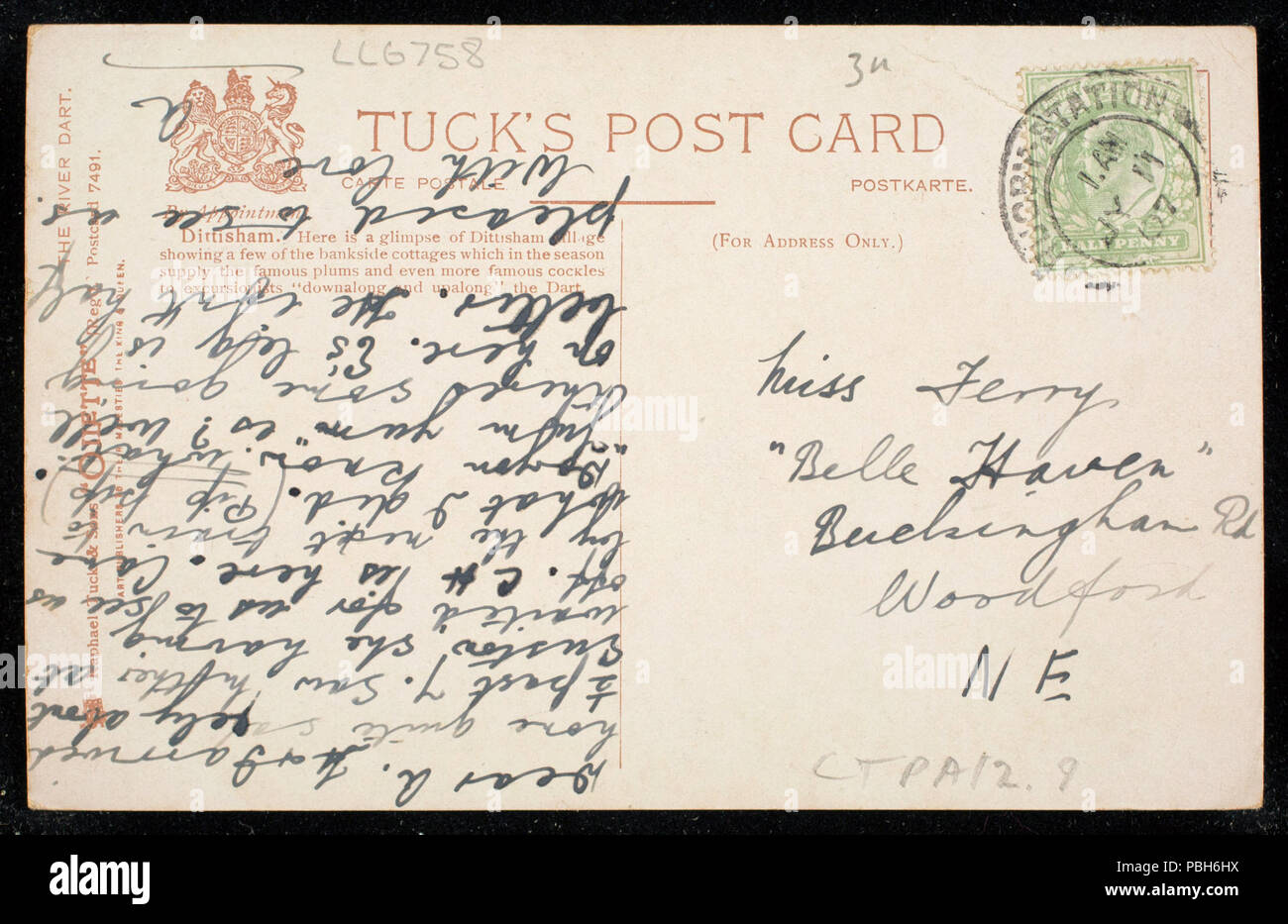 1694 Il fiume Dart Dittisham (BNI 440200) Foto Stock