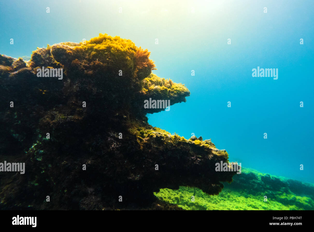 Rocce sottomarine e grotta. La vita acquatica sfondo. Foto Stock