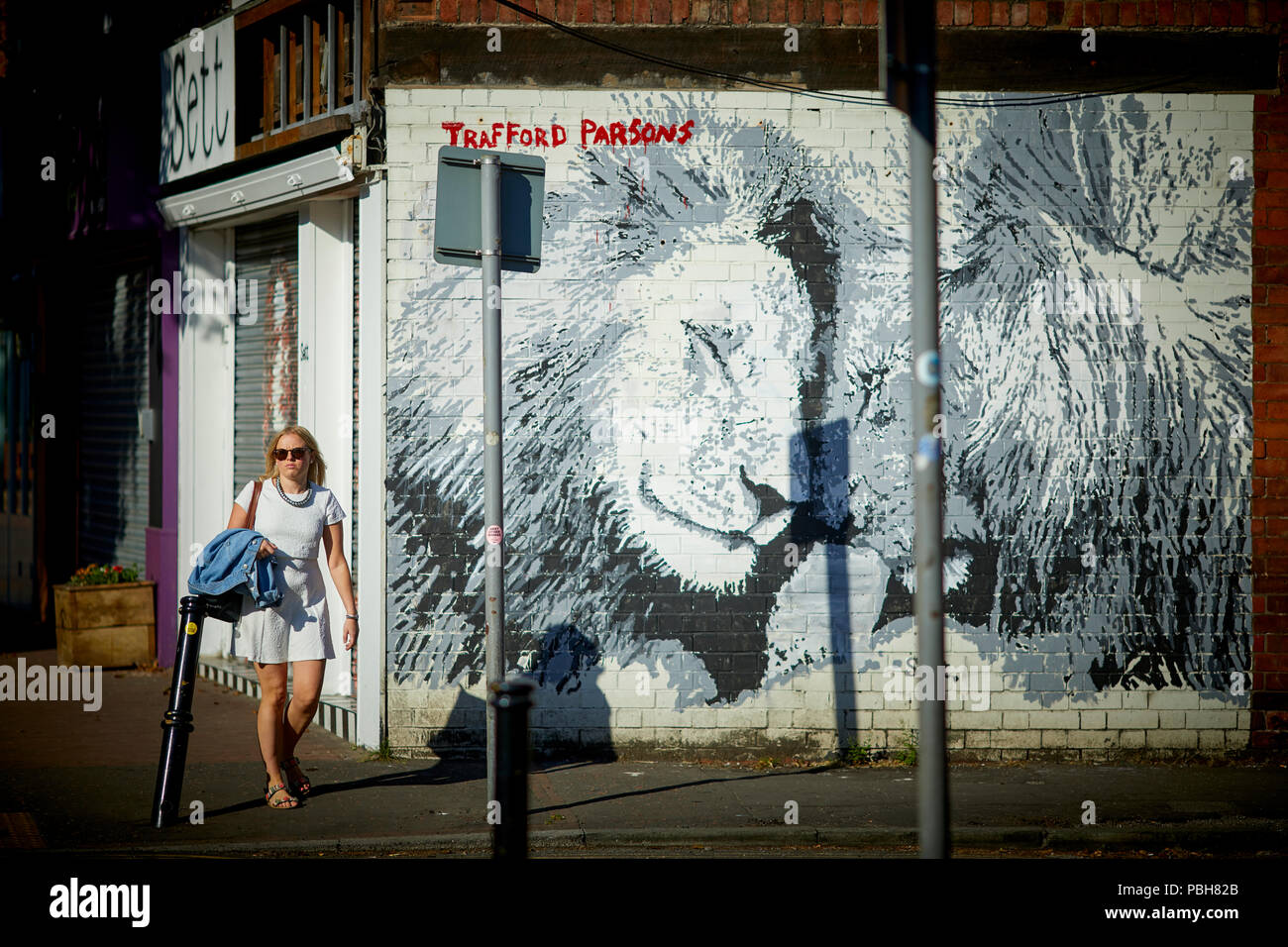 Burton Road West Didsbury, South Manchester lion murale di arte di strada dal Trafford Parsons Foto Stock