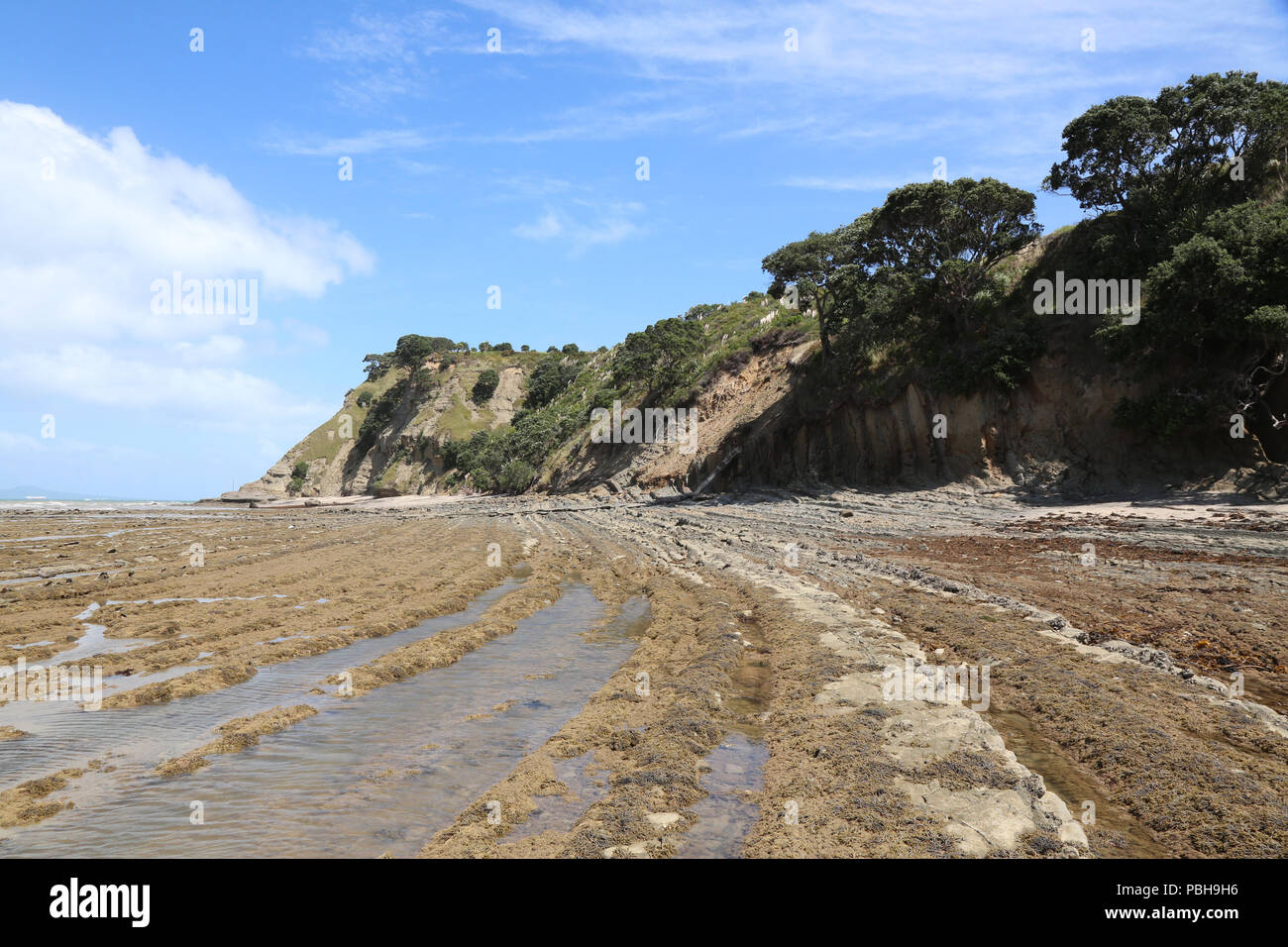 Shakespear Parco Regionale Foto Stock