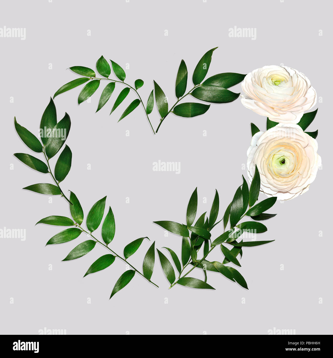 Forma di cuore cornice floreale con delicati colori cremosi ranunculus fiori e foglie verdi, piatto di laici che, vista dall'alto, isolata su grigio chiaro sfondo con c Foto Stock