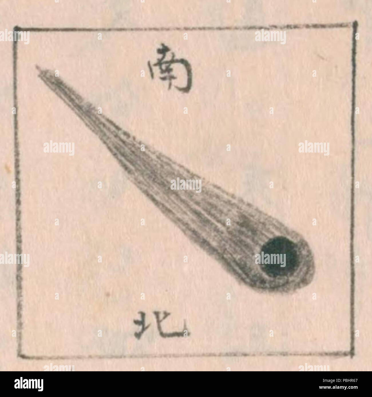 1748 Tiger Stella di coda 1665-01-10 Foto Stock