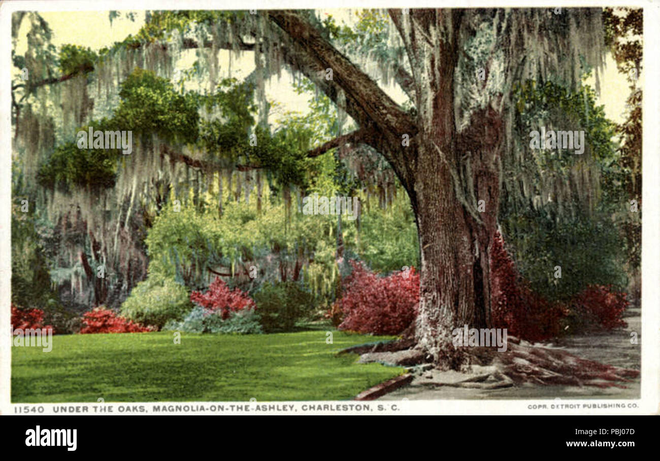 1788 sotto le querce, Magnolia-su-il-Ashley (BNI 1505) Foto Stock