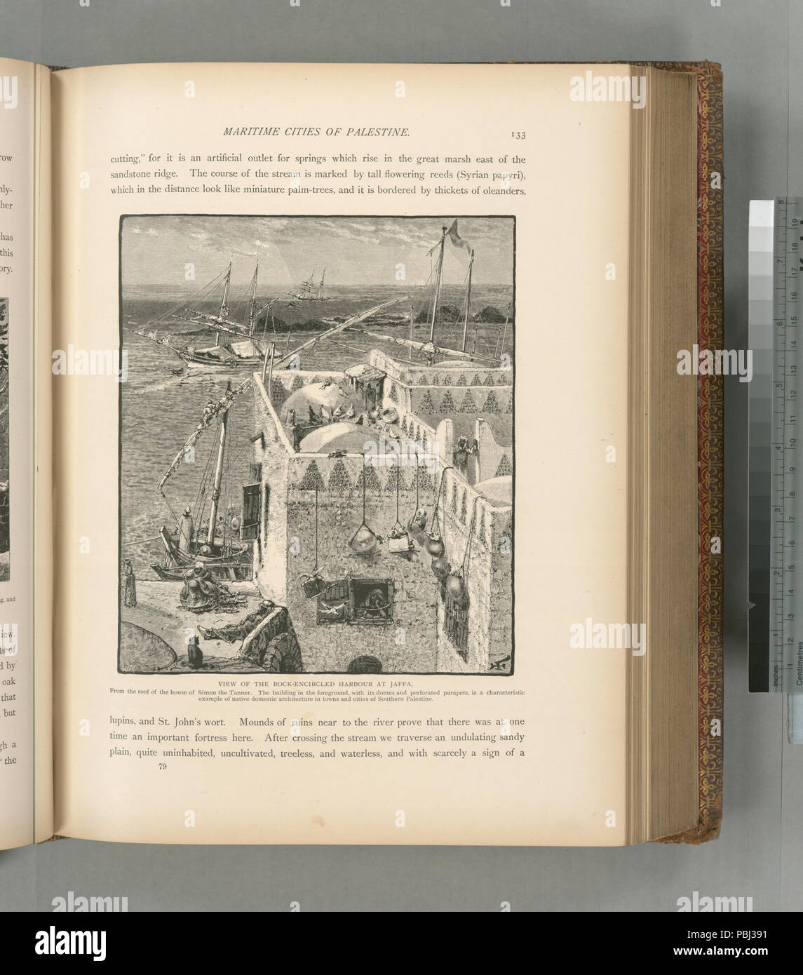 1816 Vista del rock-circondata porto di Jaffa, dal tetto della casa di Simone il conciatore. L' edificio in primo piano, con le sue cupole e forate parapetti, è una caratteristica (NYPL b10607452-80650) Foto Stock