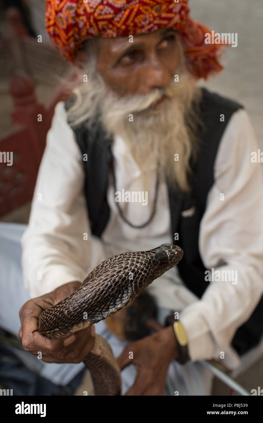 Snake incantant con il suo cobra nelle strade di Nuova Dheli, India, Asia Foto Stock