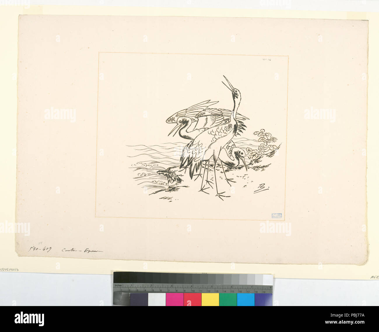 1774 Trois grues au bord de la mer (NYPL b14506646-1149403) Foto Stock
