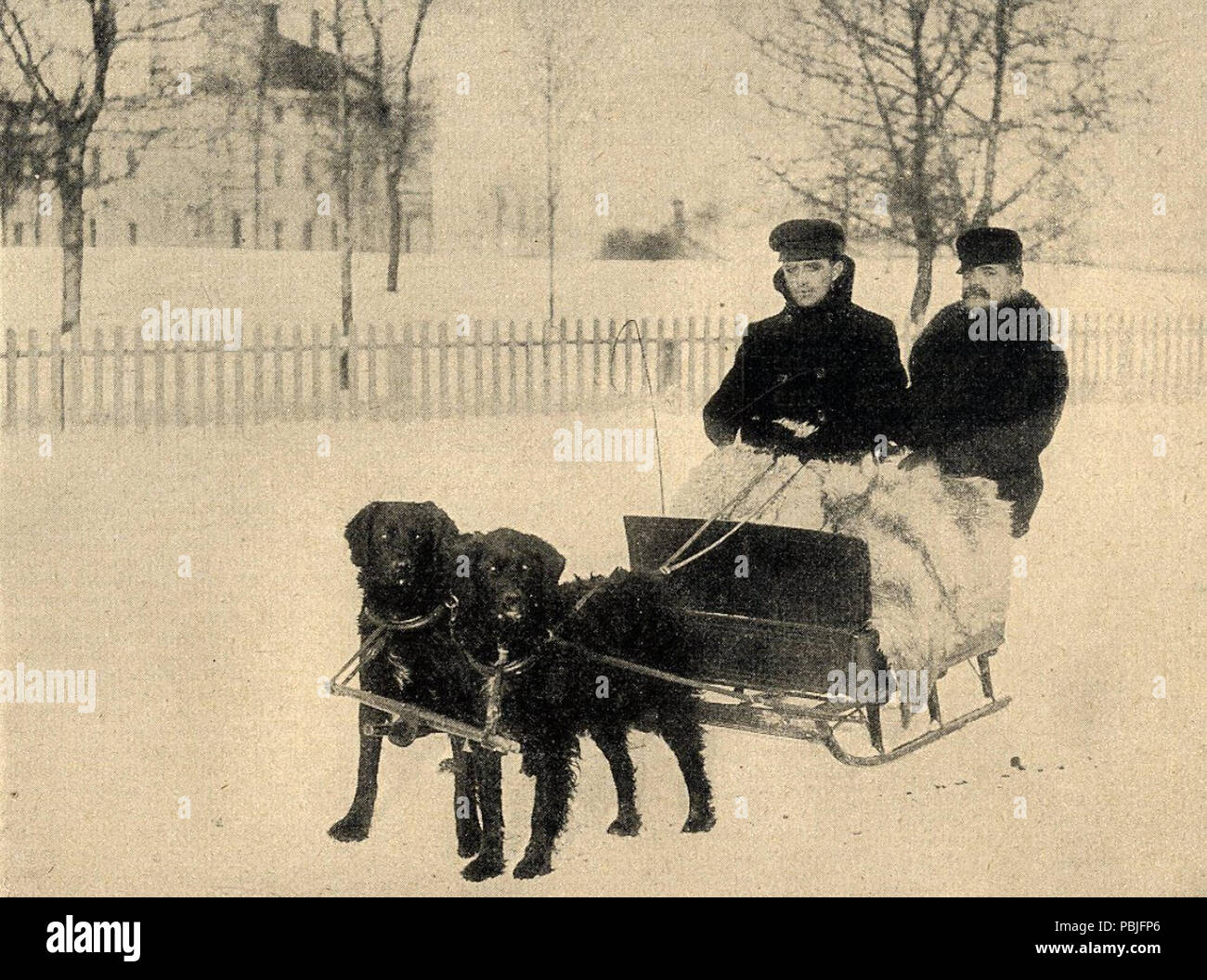 776 Hundeschlitten 1903 Foto Stock