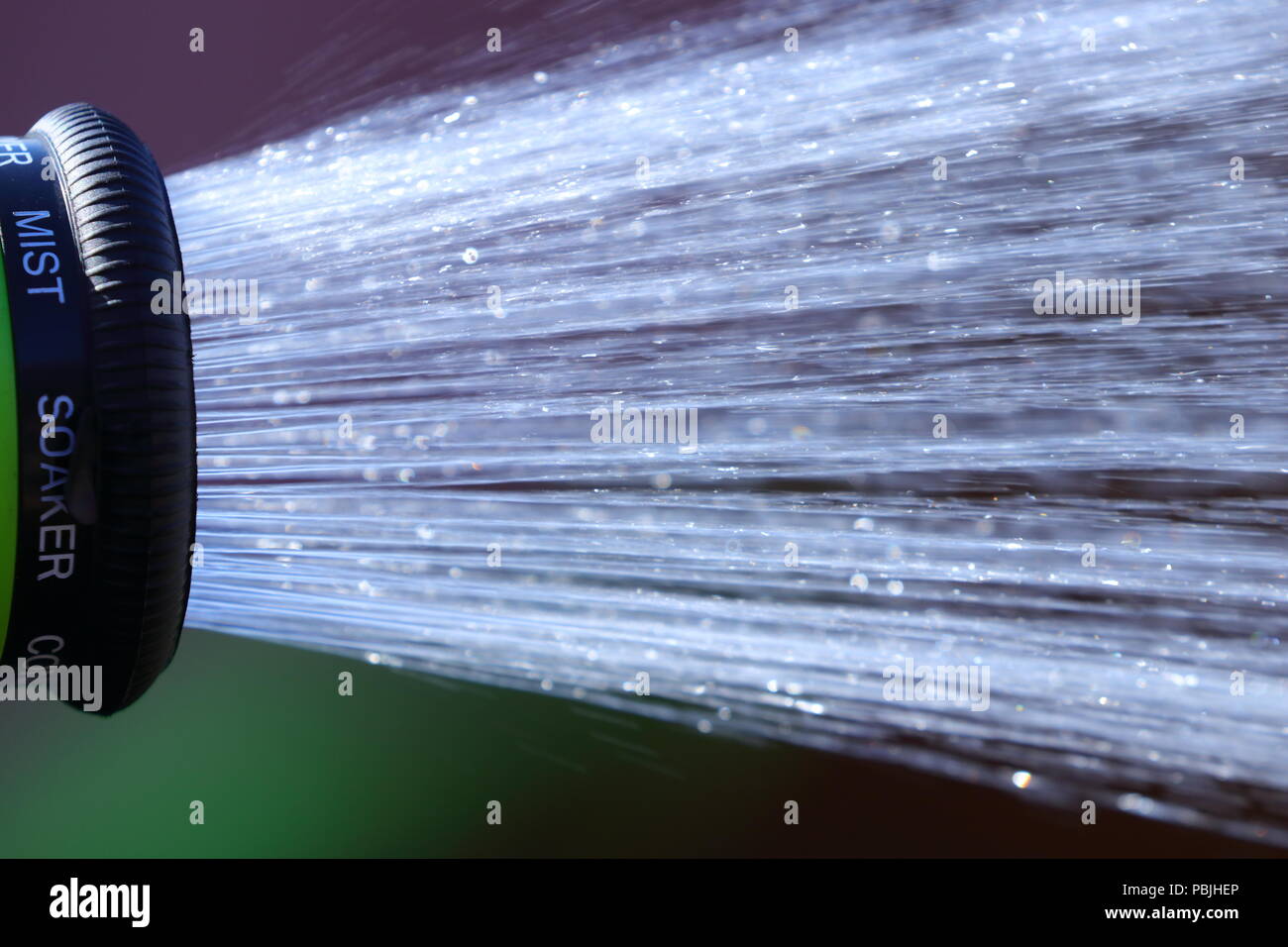 Una doccia di acqua da un tubo flessibile prima che il tubo flessibile proposto divieto entrerà in vigore. Foto Stock