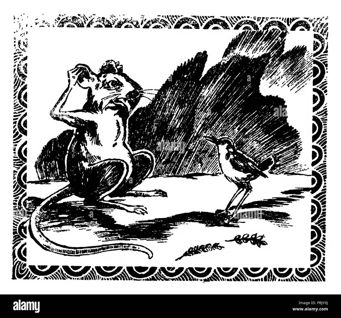 1904 টুনটুনির বই (pagina 12 del raccolto) Foto Stock