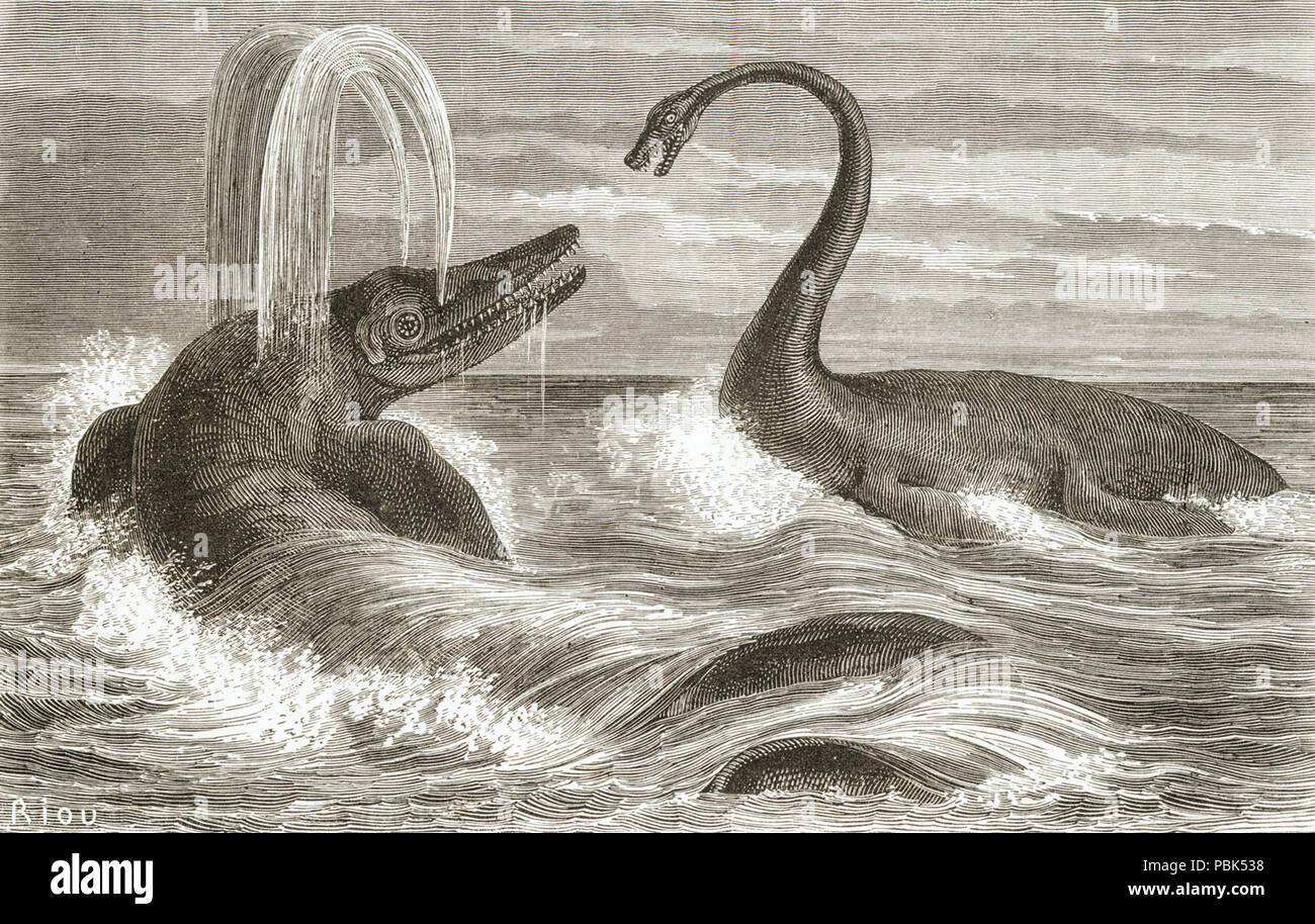 786 Ichthyosaur e Plesiosaur 1863 Foto Stock