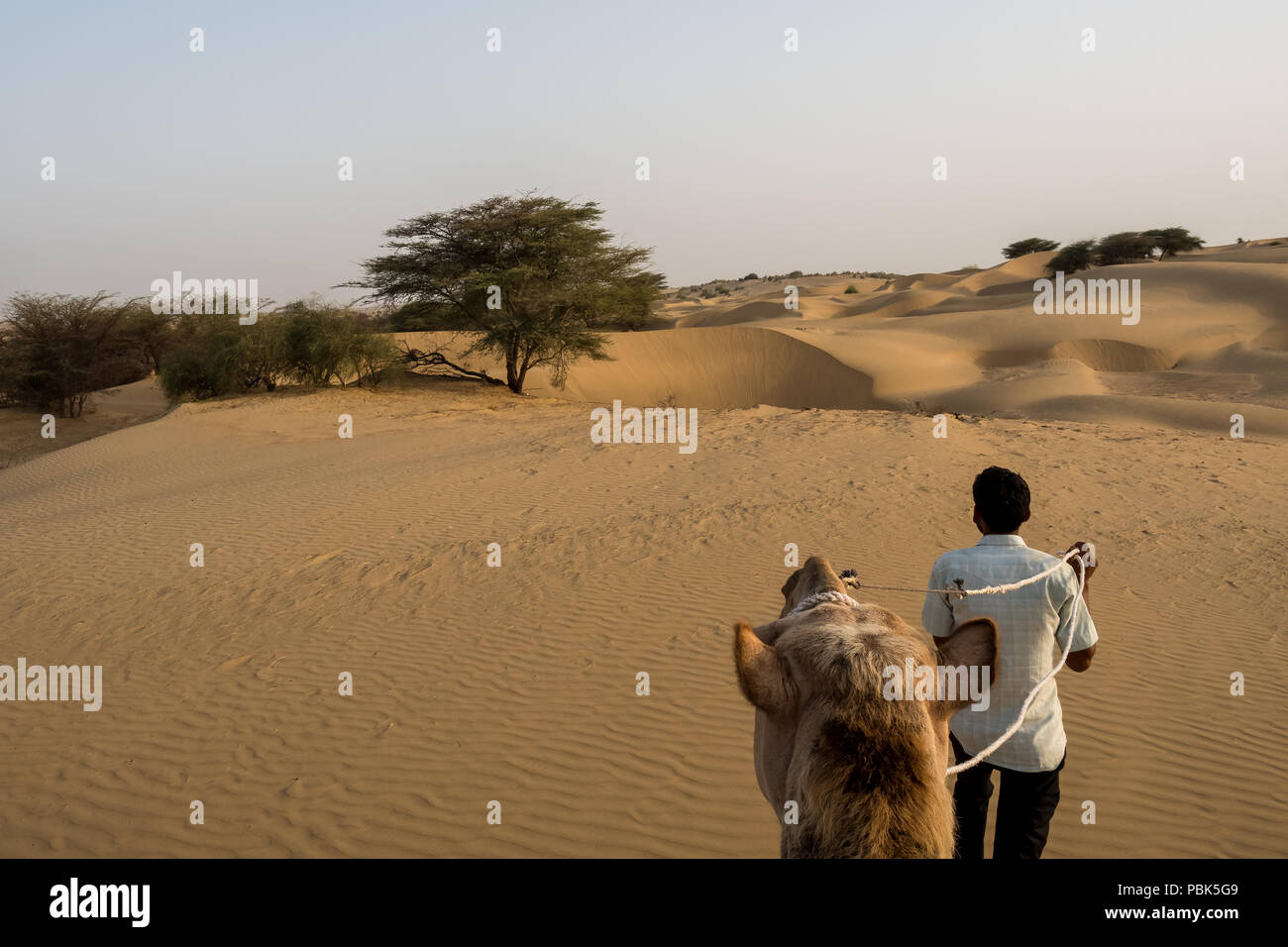 Safari in cammello nel deserto Parco Nazionale Jaisalmer - India Rajastan Giugno 2018. La testa del cammello e la sua guida camminano attraverso il deserto. Vista dall'alto Foto Stock