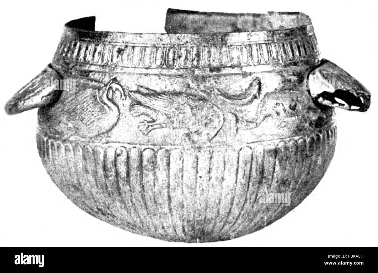 729 Greco-Scythian vaso con righe di oche in volo 5th-4secolo a.e.v. indietro Foto Stock