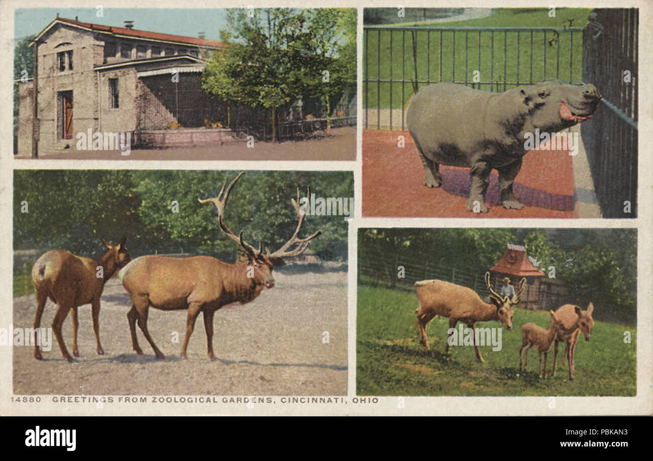 730 saluti da giardini zoologici (BNI 1822) Foto Stock