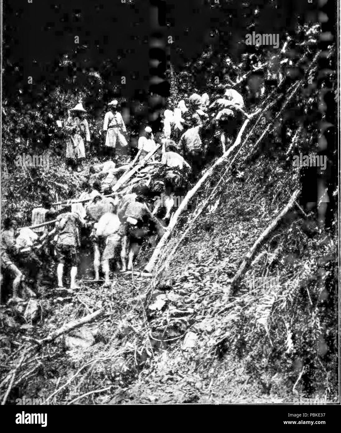 746 trasporta le pistole di montagna 1900s Foto Stock