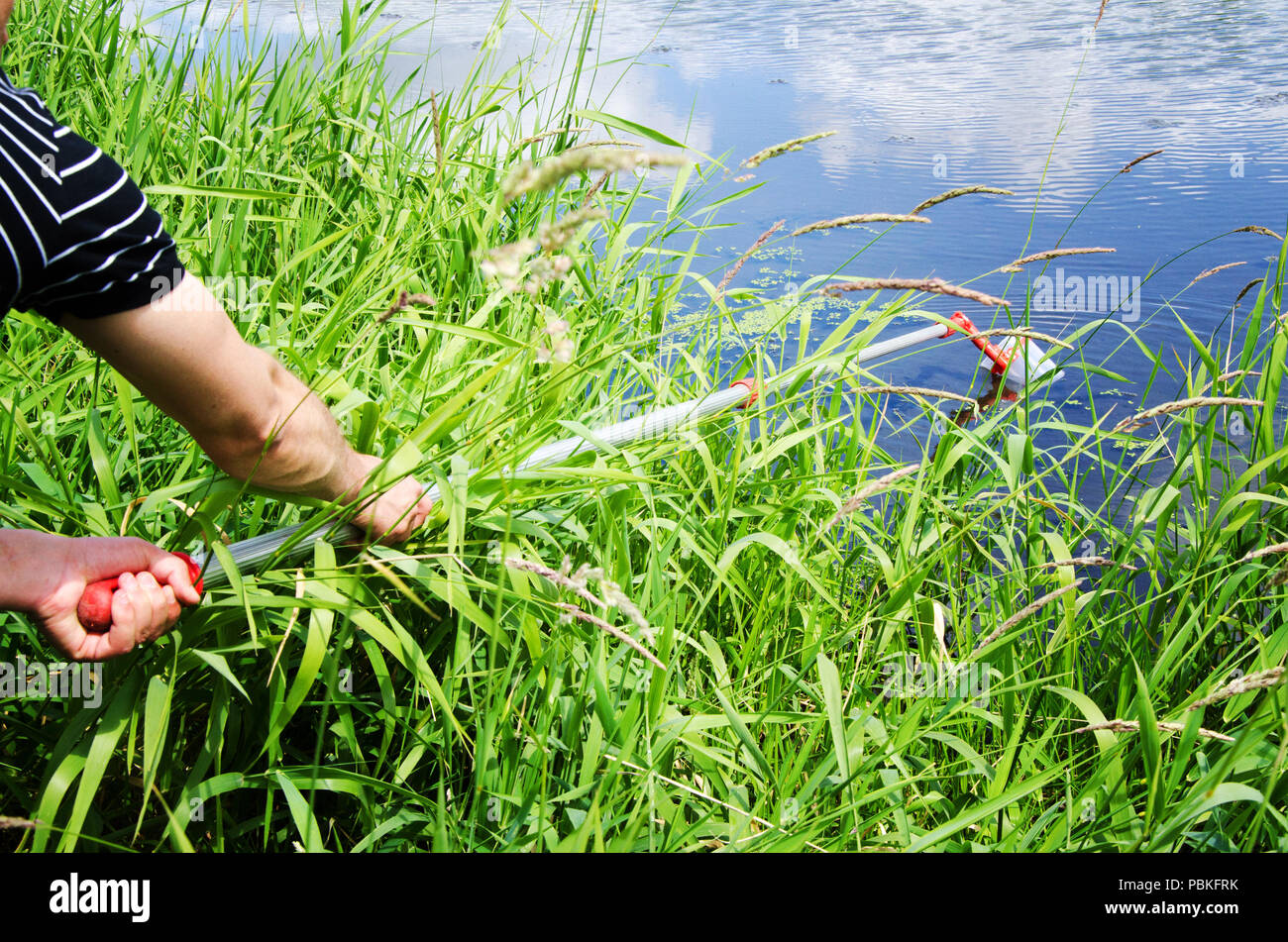Prelevare campioni di acqua per le prove di laboratorio. Il concetto - analisi della purezza dell'acqua, ambiente, ecologia Foto Stock