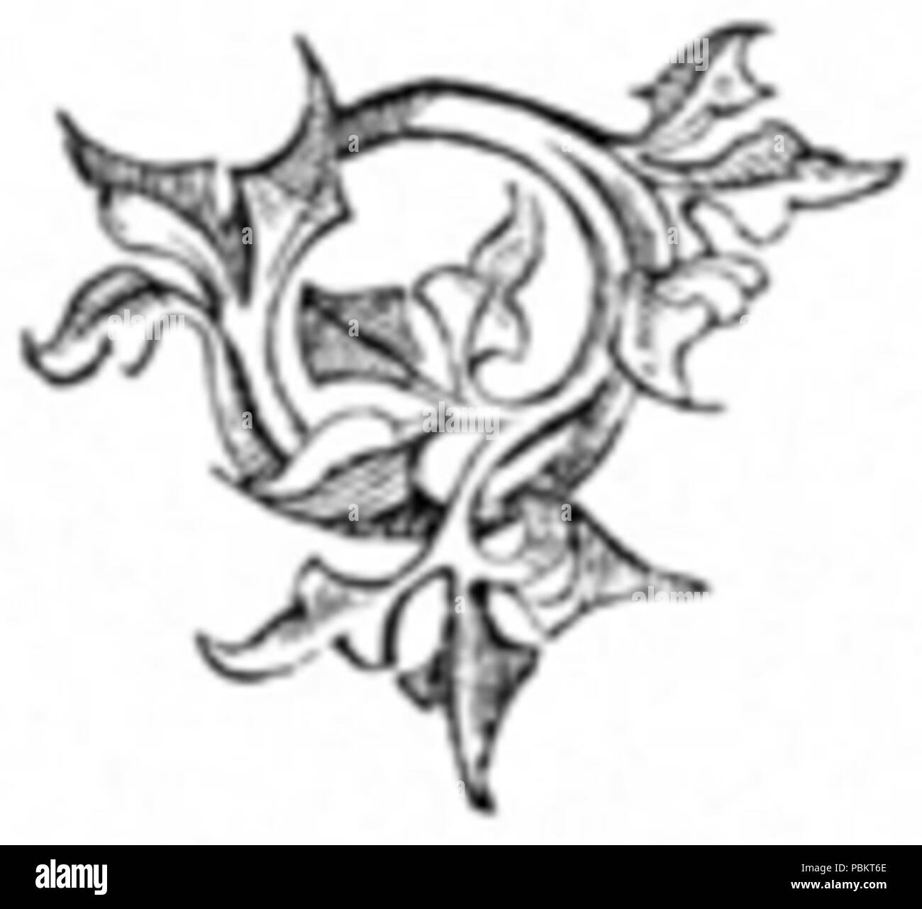 904 Lettera o di edera Foto Stock