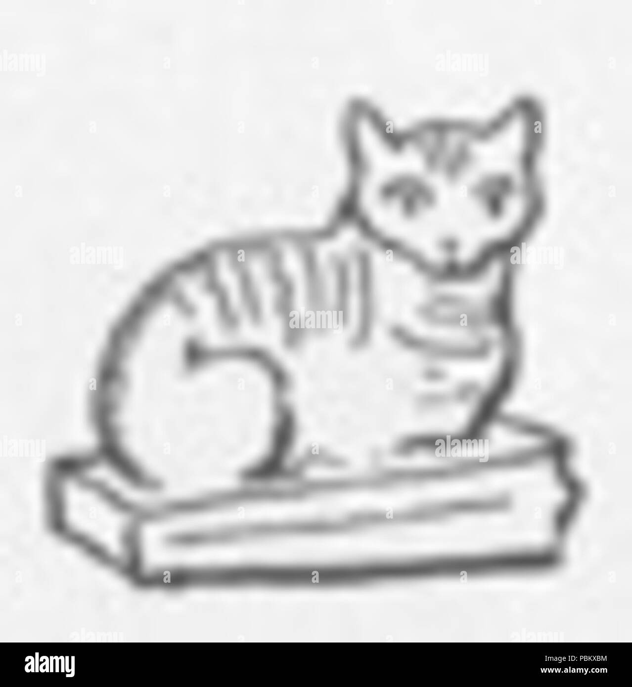 925 Opere letterarie Cat Foto Stock