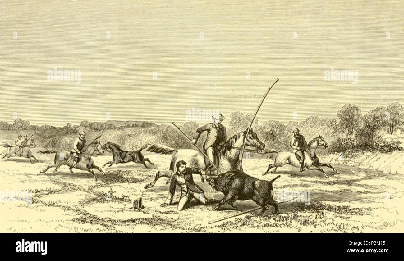 763 La caccia di porco in Oriente (1867) JT Newall II Foto Stock