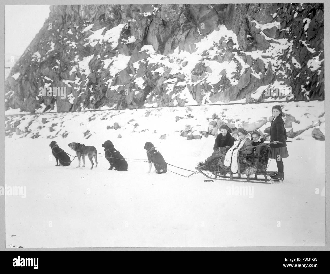 Il team di cane imbrigliato ad una slitta holding quattro ragazze di fronte a una coperta di neve cliff. 1900-1917 Canada Foto Stock