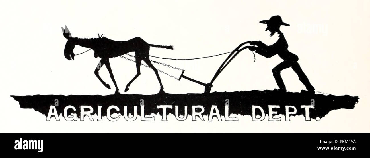 789 Illustrazione-3 (rubinetti 1911) Foto Stock