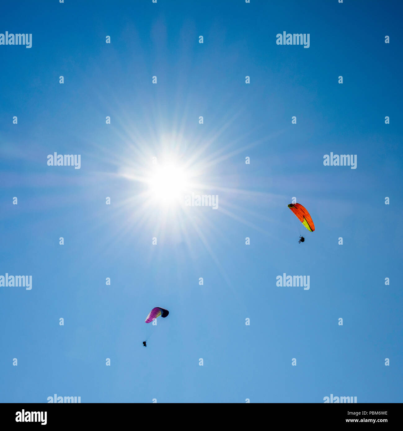 Parapendio in un cielo blu, Puy de Dome, Auvergne Rhone Alpes, Francia Francia Foto Stock