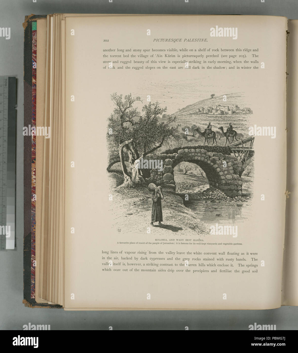 865 Kolonia e Wady Beit Hanîna, spazio preferito luogo di resort del popolo di Gerusalemme; è famoso per il suo ben conservato vigneti ed orti (NYPL b10607452-80384) Foto Stock