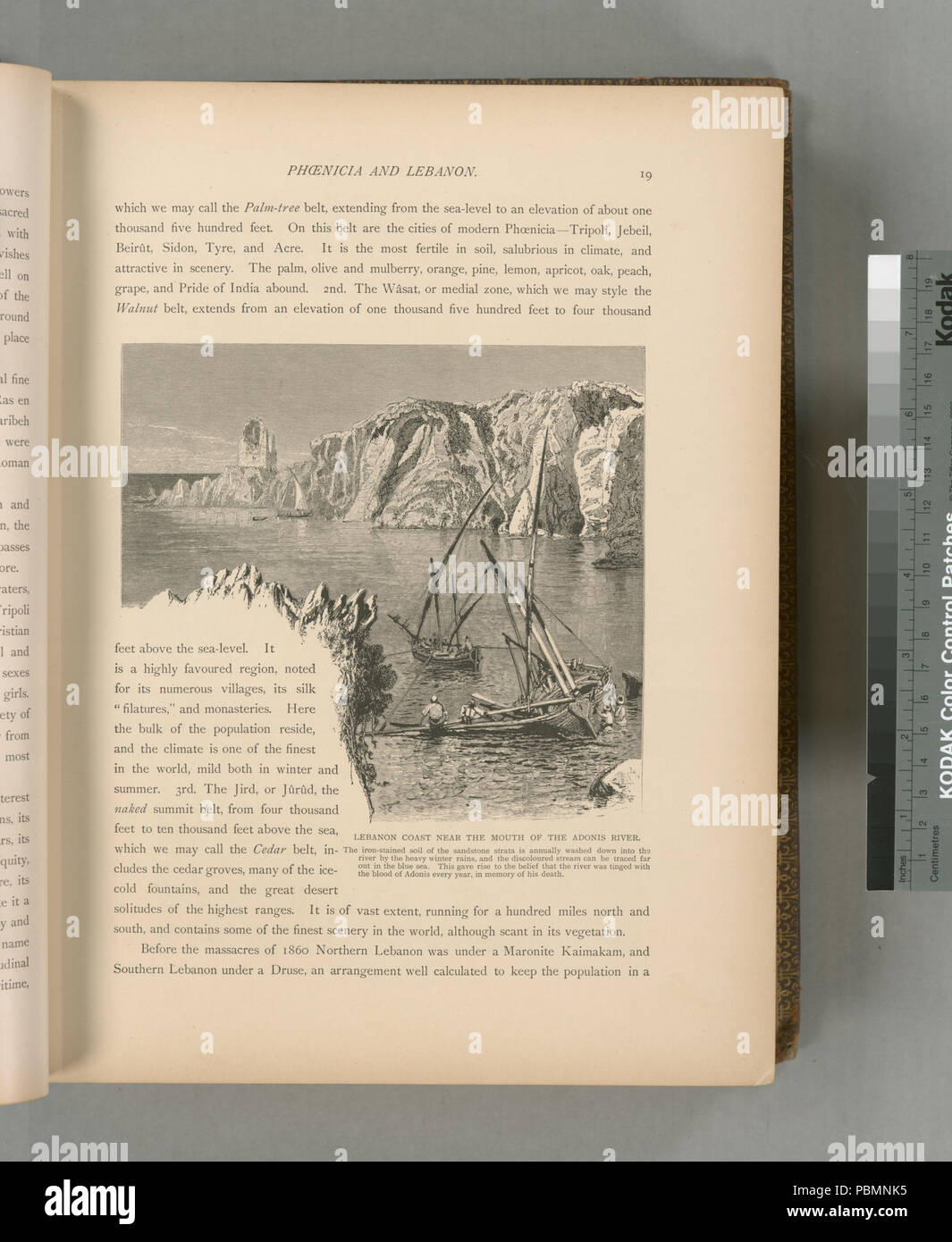 894 Libano costa vicino alla bocca del fiume Adonis. Il ferro-suolo macchiato di strati di pietra arenaria annualmente viene lavato giù nel fiume a causa delle pesanti piogge invernali e il flusso scoloriti (NYPL b10607452-80576) Foto Stock
