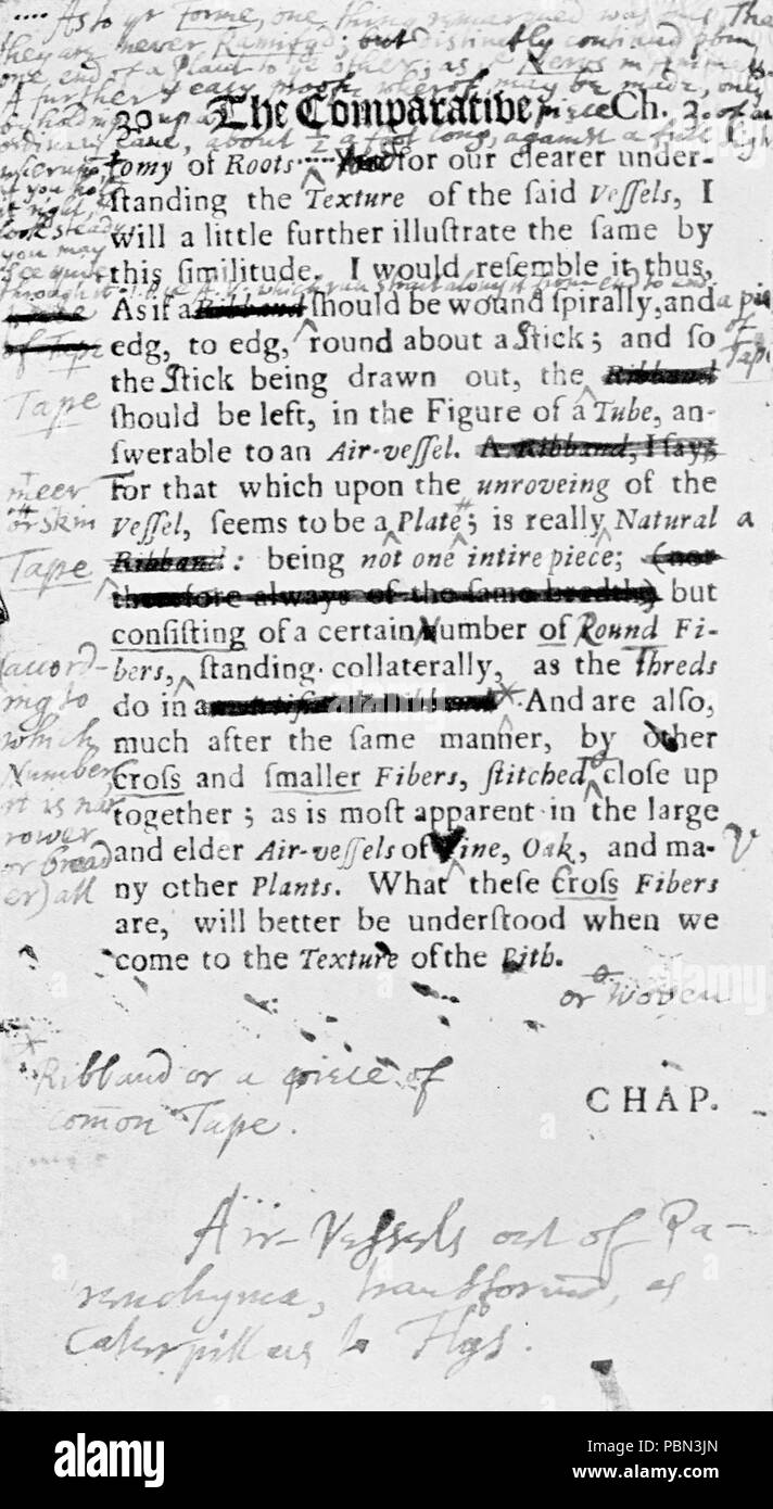 987 responsabili del British botanica, la piastra 6 (una pagina dall'anatomia comparata delle linee) Foto Stock