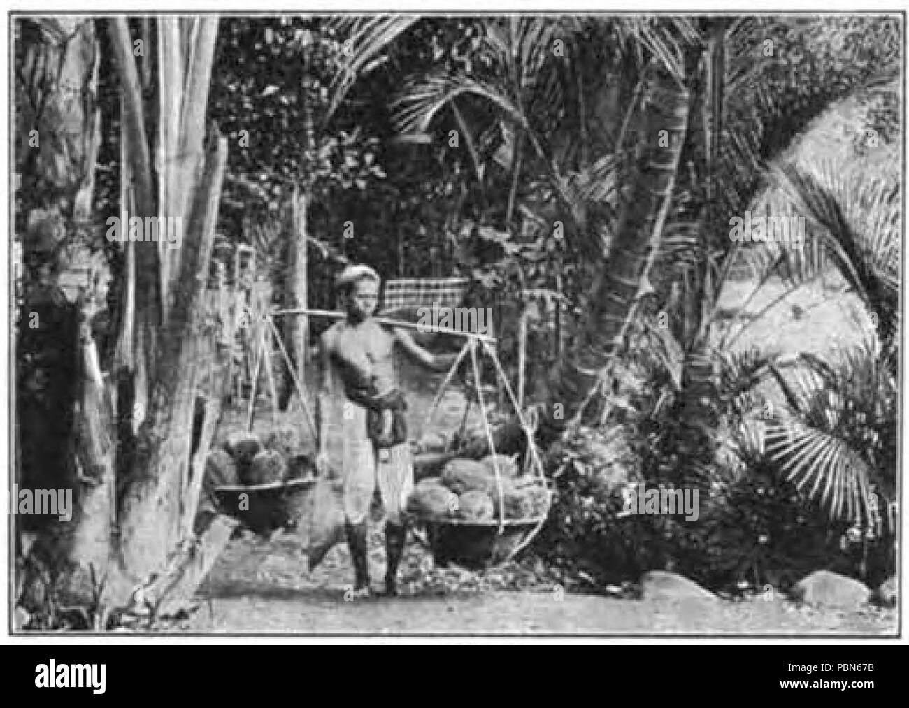 1008 Maury Geografia 133D Java Foto Stock