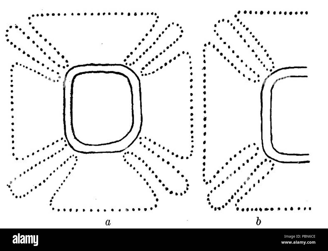 1009 geroglifici Maya Fig 48 Foto Stock