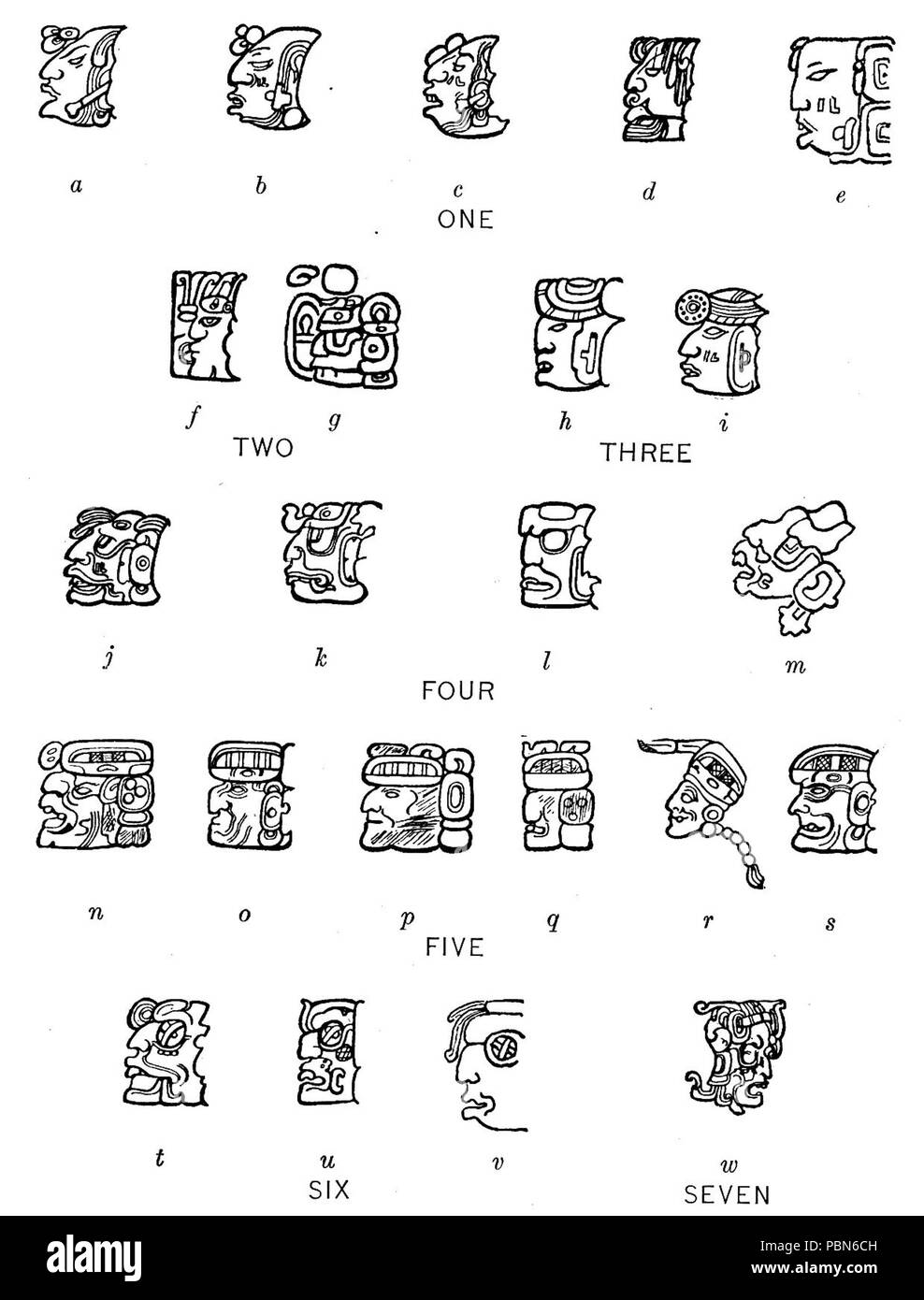 1009 geroglifici Maya Fig 51 Foto Stock