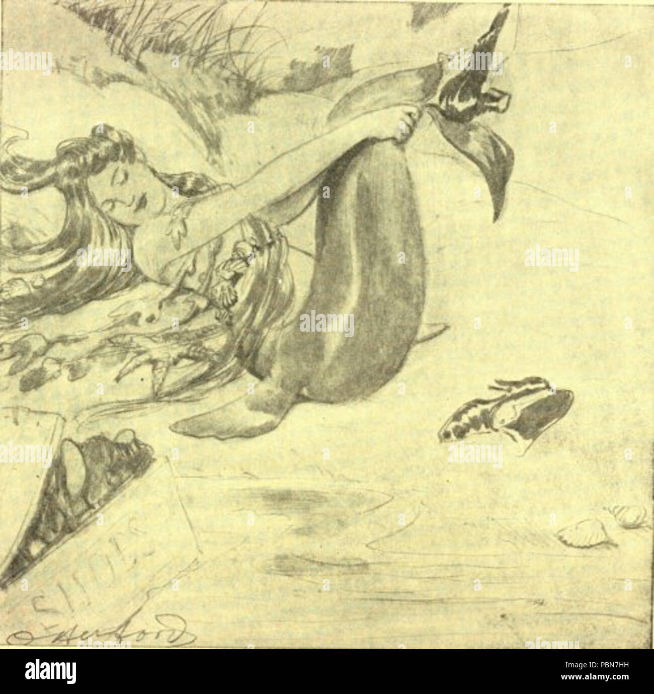 1019 Immagine Mermaid Foto Stock