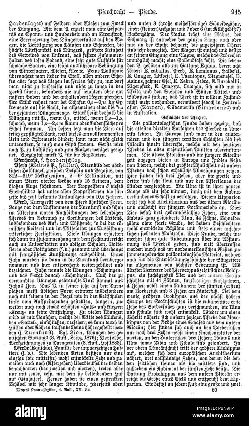 1027 Meyers b12 s0945 Foto Stock