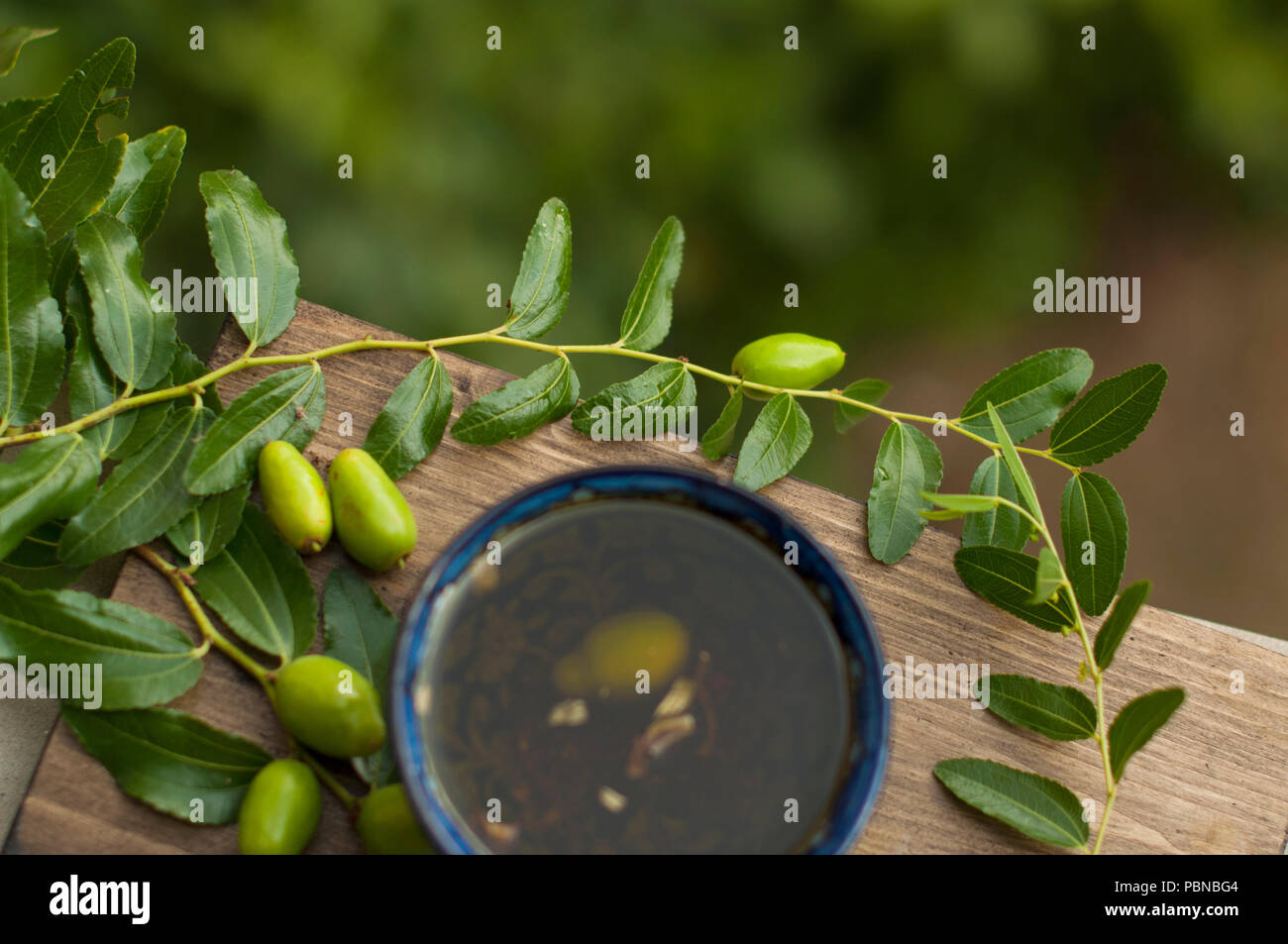 L'olio d'oliva nella tazza. Il ramo di un albero di olivo con olive fresche. Olive verdi. Nel giardino. Su una tavola di legno. una caraffa per olio. Classici italiani. Olive d'Italia. Cibo di Italy Foto Stock