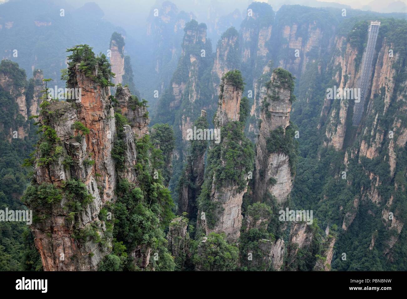 Zhangjiajie Avatar Montagna Nella Provincia Del Hunan In