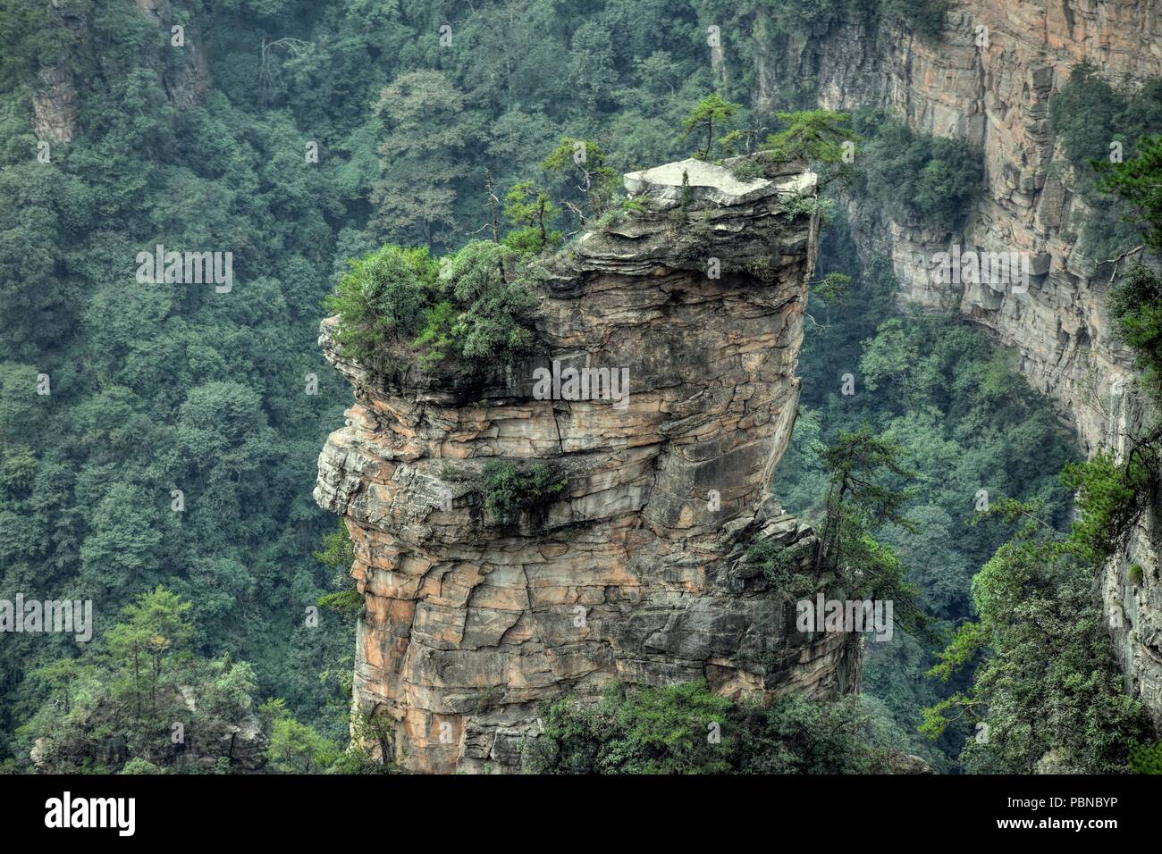 Zhangjiajie Avatar Montagna Nella Provincia Del Hunan In