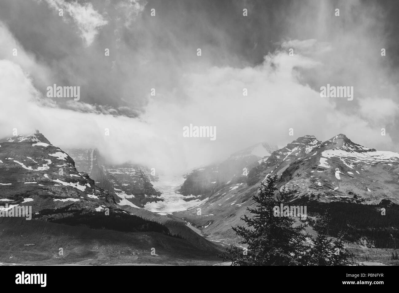 Il Columbia Icefield, Alberta, Canada Foto Stock