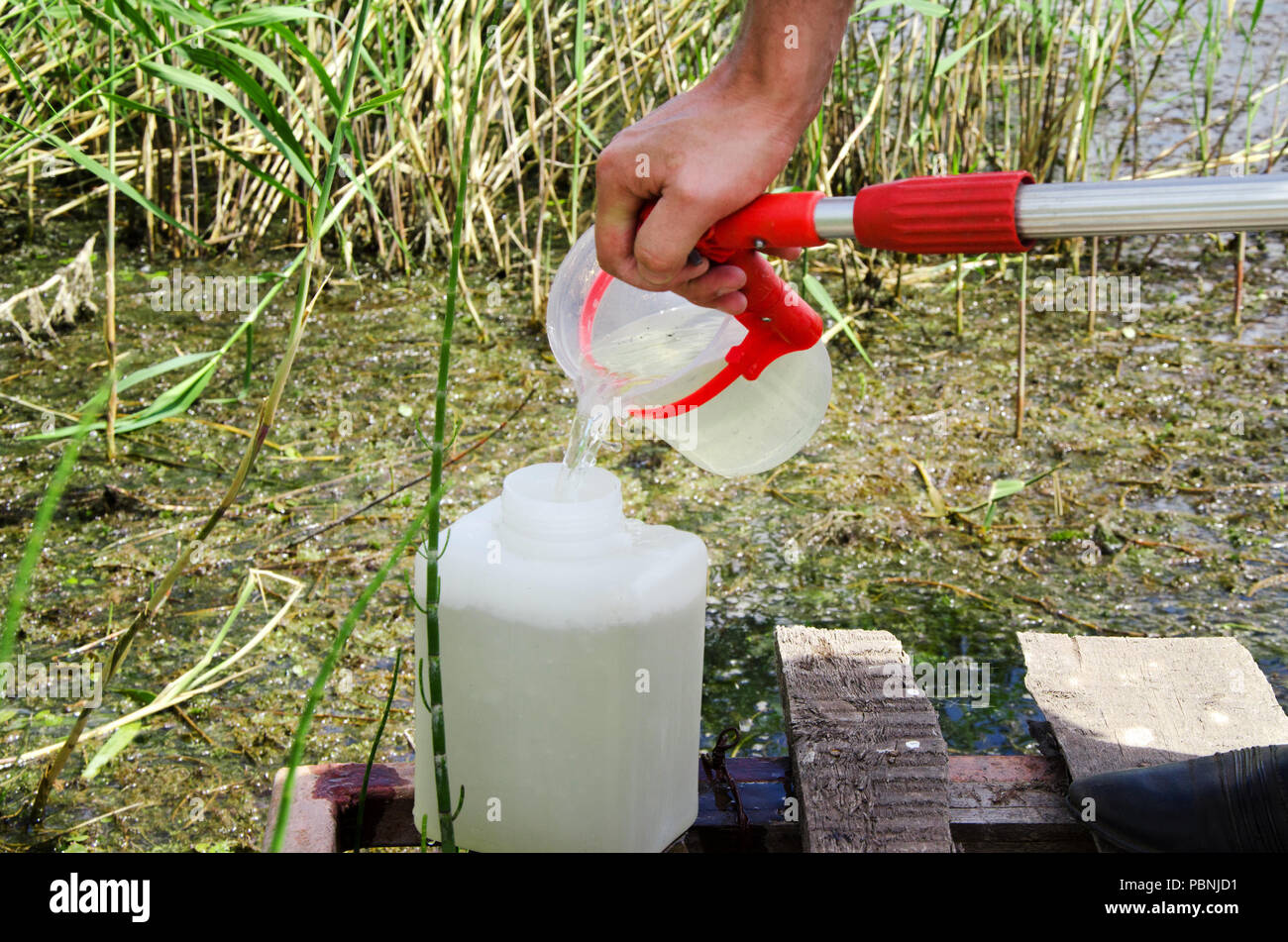 Prelevare campioni di acqua per le prove di laboratorio. Il concetto - analisi della purezza dell'acqua, ambiente, ecologia Foto Stock