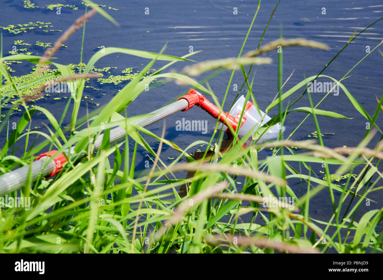 Prelevare campioni di acqua per le prove di laboratorio. Il concetto - analisi della purezza dell'acqua, ambiente, ecologia Foto Stock