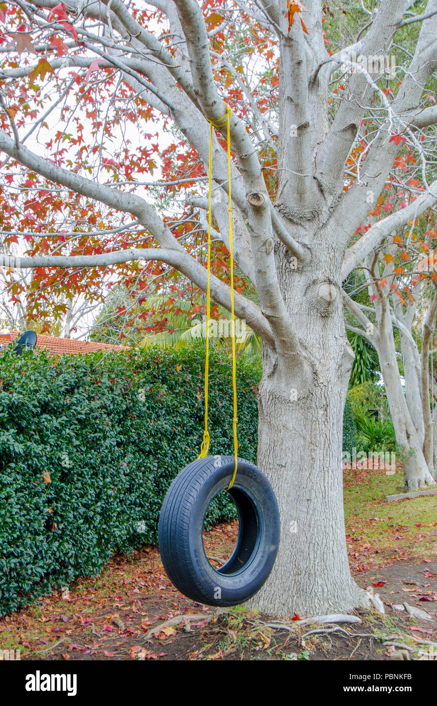 Backyard tire swing attaccato a un albero a foglie decidue Foto Stock