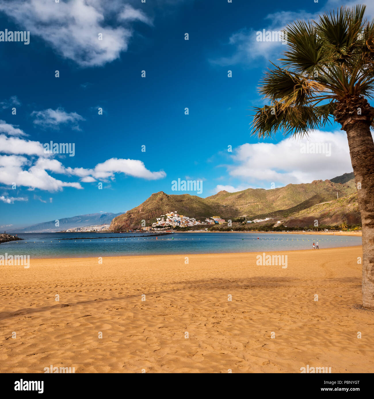 Sabbia calda e palme sulla spiaggia Playa de Las Teresitas Beach, Tenerife Foto Stock