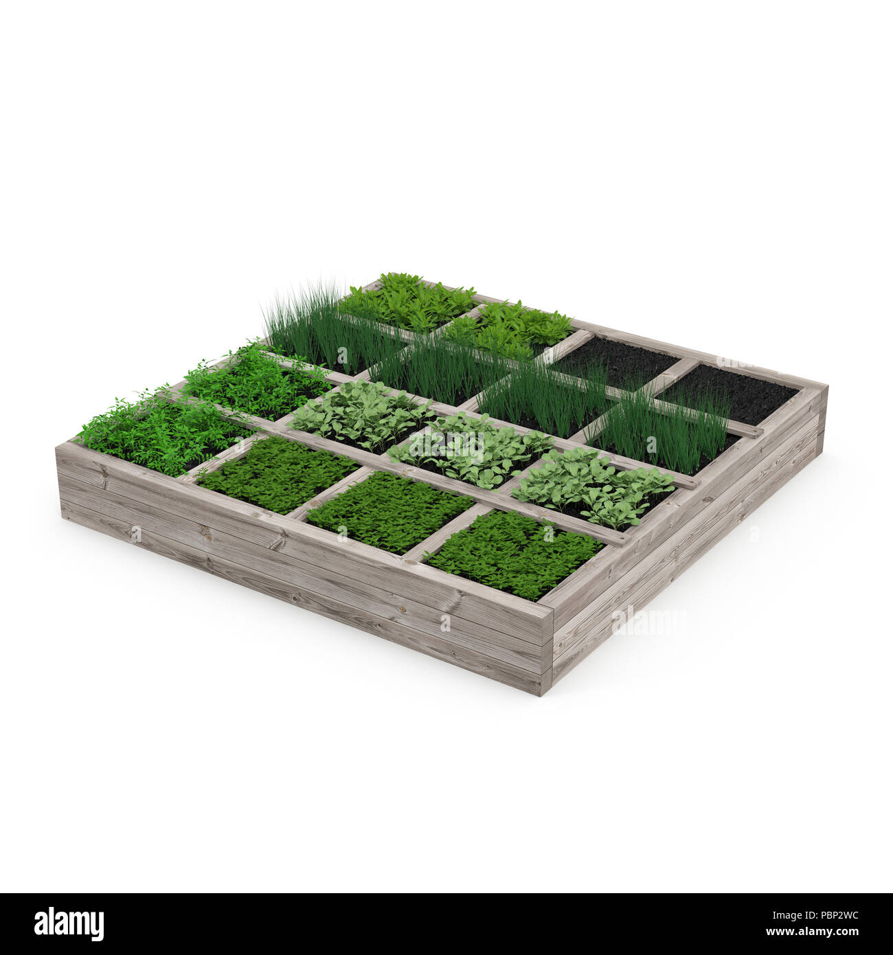 Scatola di legno con un giovane giardino su bianco. 3D illustrazione Foto Stock