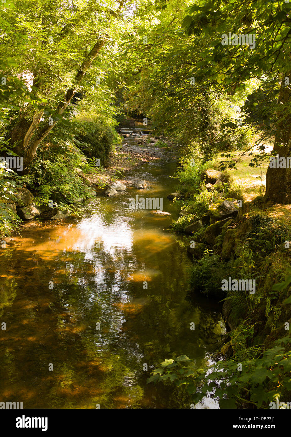 Il Byes, Fiume Sid, Sidmouth Foto Stock