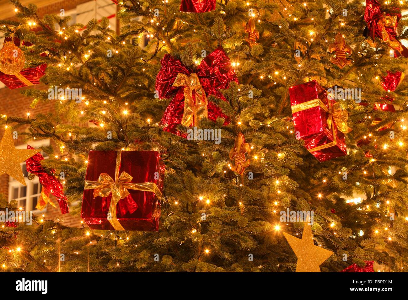 Decorazione di natale in un abete al crepuscolo, Brema, Germania, Europa mi Weihnachtsdekoration in einem Tannenbaum bei Abenddämmerung, Brema, Deutschla Foto Stock