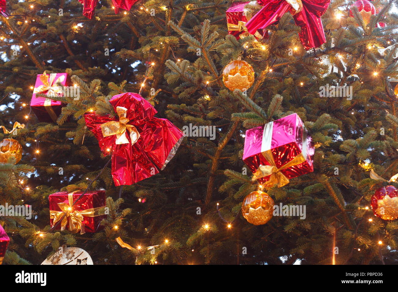 Decorazione di natale in un abete al crepuscolo, Brema, Germania, Europa mi Weihnachtsdekoration in einem Tannenbaum bei Abenddämmerung, Brema, Deutschla Foto Stock