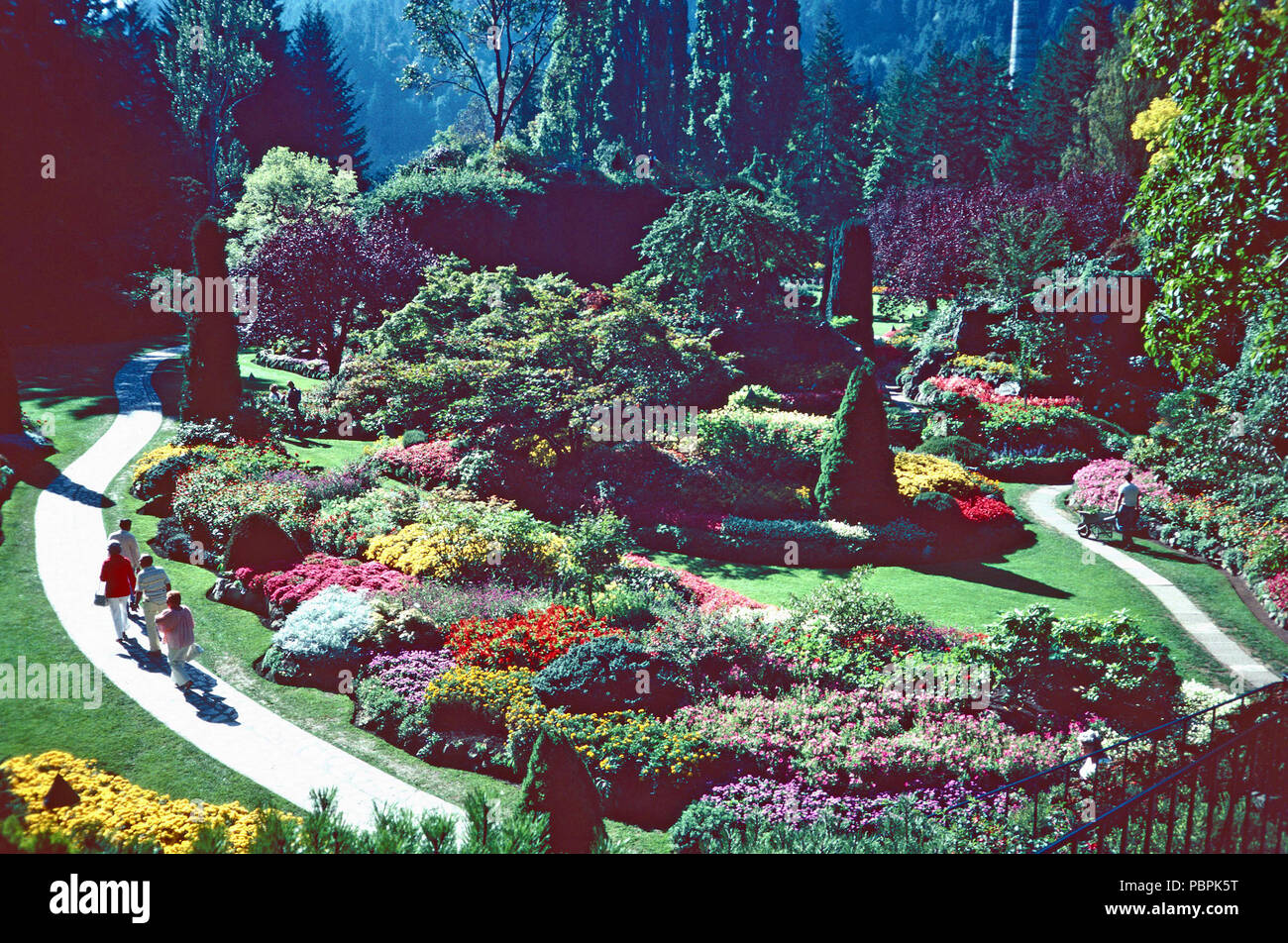 Victoria butchart gardens immagini e fotografie stock ad alta ...