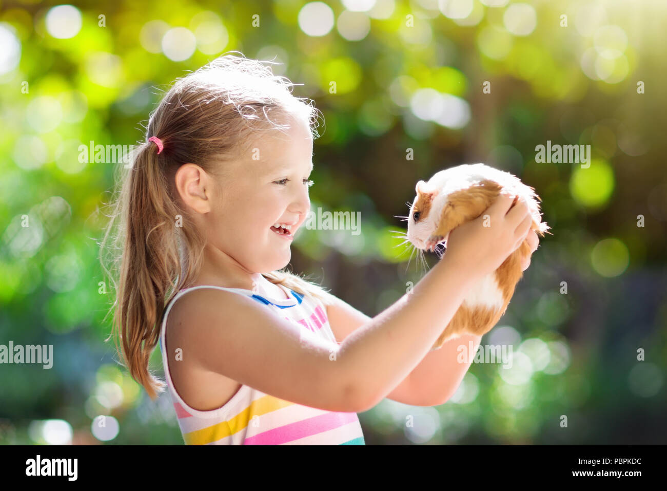 Bambino che gioca con la guinea pig. Bambini cavy mangimi animali. Little Girl holding e la alimentazione di animale domestico. I bambini si prendono cura di animali domestici. Preschooler kid pe Foto Stock