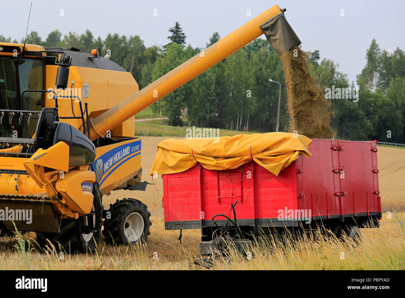 Salo, Finlandia - 29 luglio 2018. La raccolta di orzo in Salo, Finlandia. Raccolto di grano inizia nel sud della Finlandia con Luca previsioni del raccolto più piccolo nel XXI secolo a causa di eccezionalmente caldo e secco condizioni atmosferiche. Credito: Taina Sohlman/ Alamy Live News Foto Stock