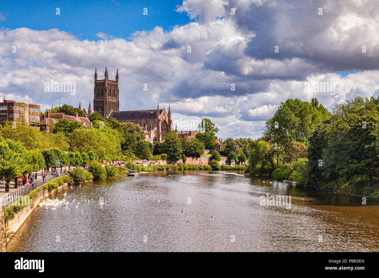 Cattedrale di Worcester e il fiume Severn, Worcester, Worcestershire, Inghilterra Foto Stock